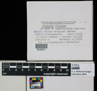 Image Associated With the Occurence